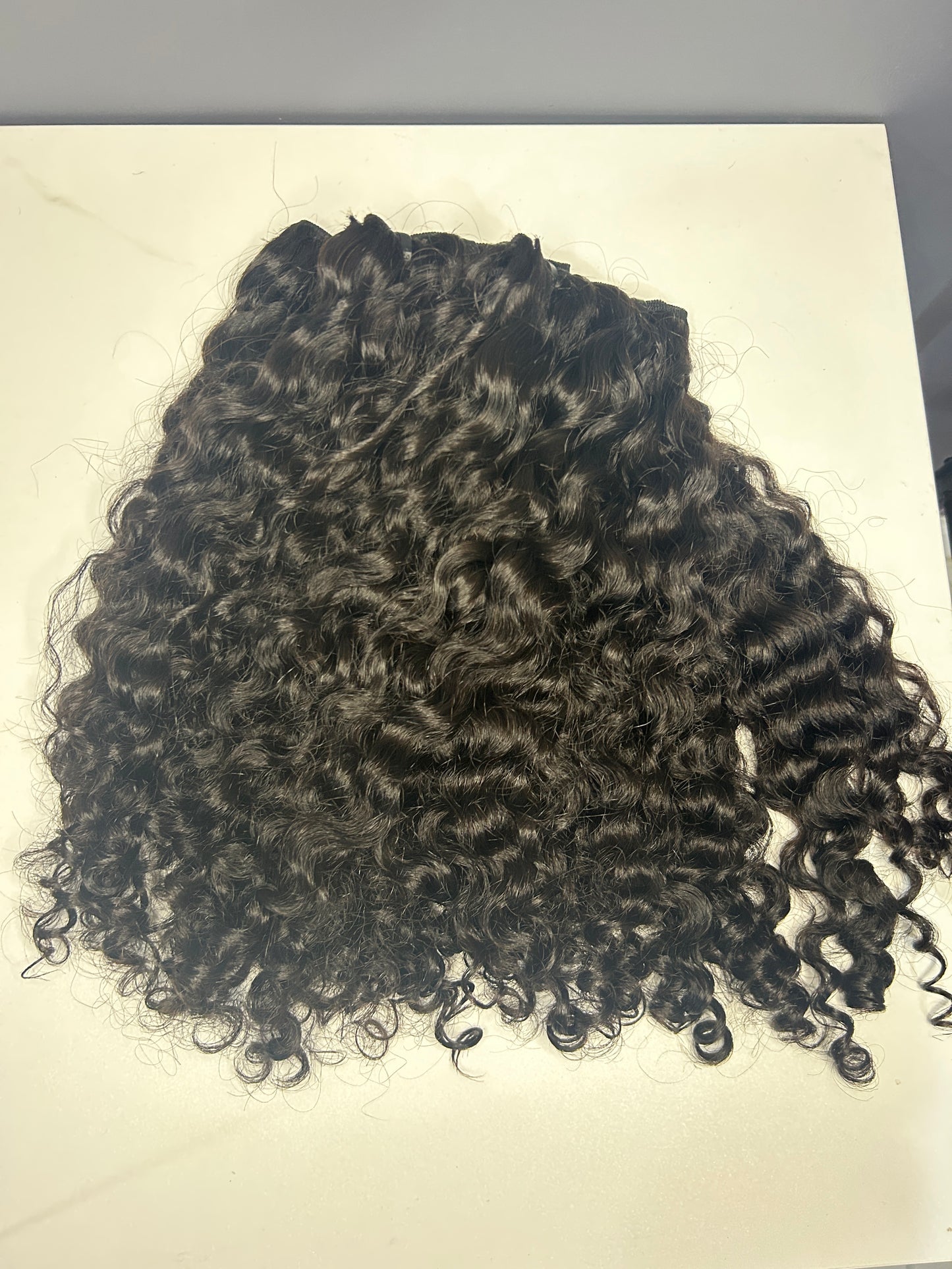 Burmese Curly (On Hand)